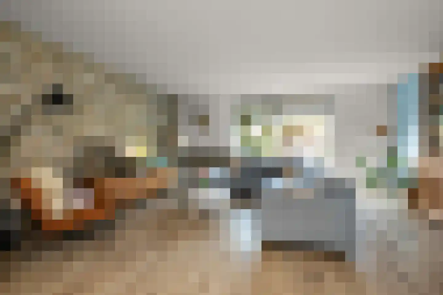 Dolomieten 10 Assendelft thumbnail 7