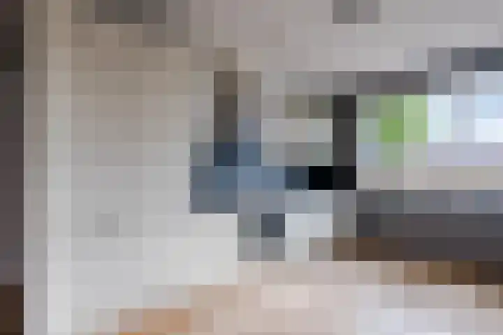 Dolomieten 24 Assendelft thumbnail 14