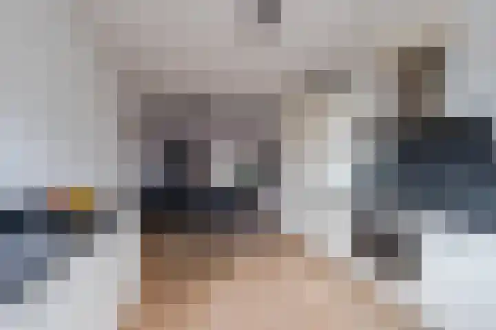 Dolomieten 24 Assendelft thumbnail 17