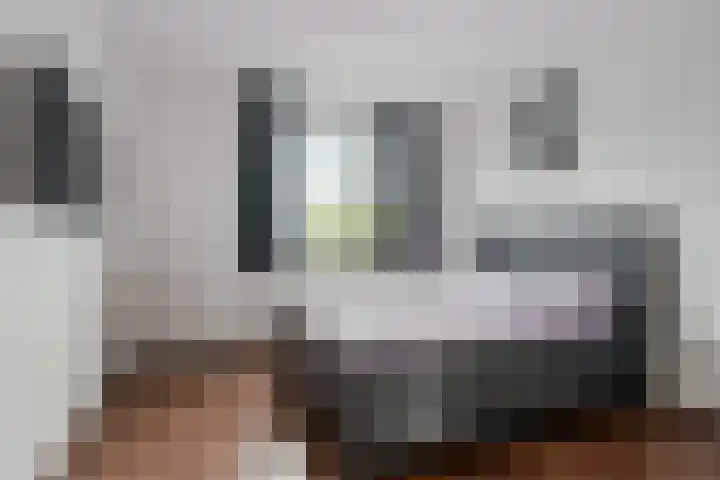 Dolomieten 24 Assendelft thumbnail 21