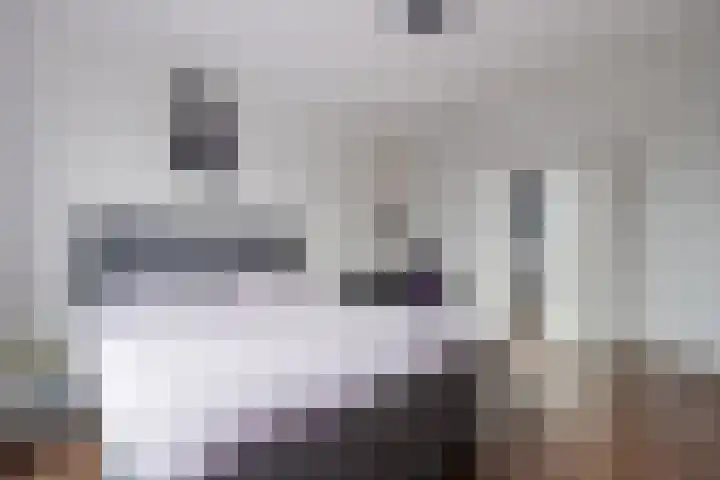 Dolomieten 24 Assendelft thumbnail 22