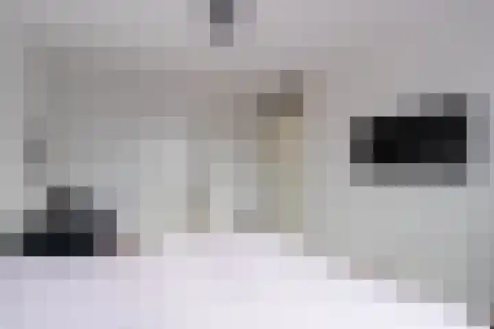 Dolomieten 24 Assendelft thumbnail 23