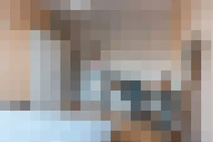 Dolomieten 24 Assendelft thumbnail 27