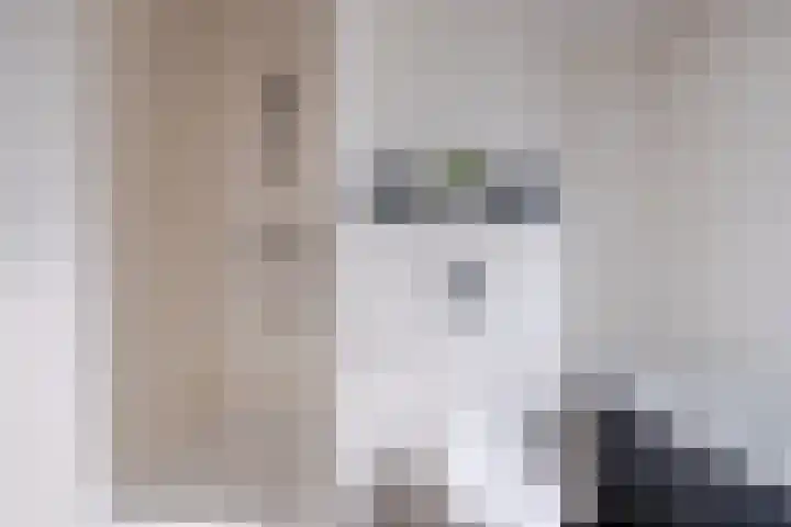 Dolomieten 24 Assendelft thumbnail 30