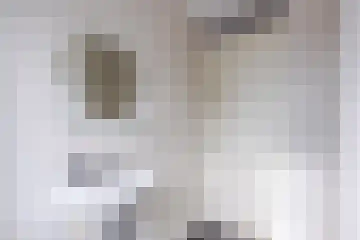 Dolomieten 24 Assendelft thumbnail 31