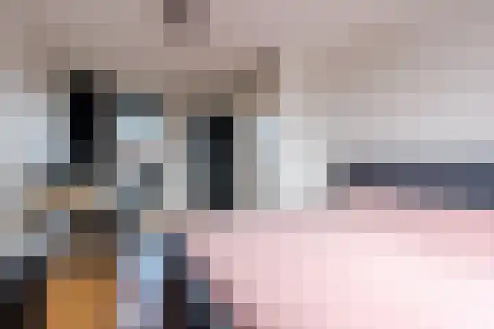 Dolomieten 24 Assendelft thumbnail 36