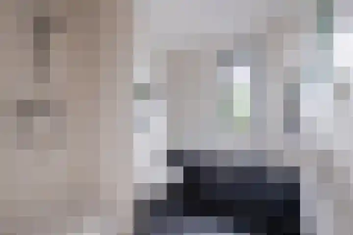 Dolomieten 24 Assendelft thumbnail 4