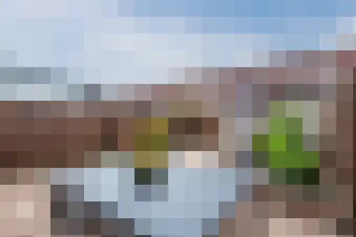 Dolomieten 24 Assendelft thumbnail 43