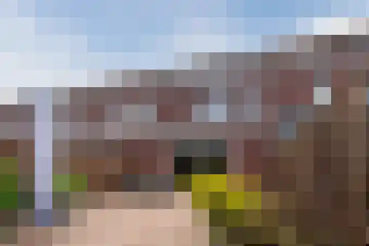 Dolomieten 24 Assendelft thumbnail 46
