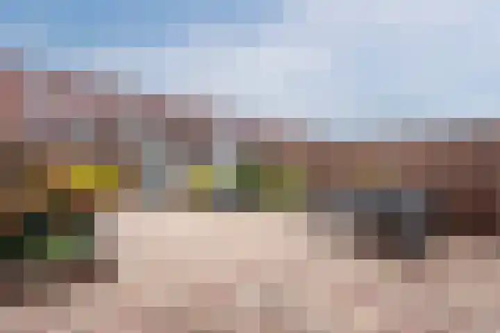 Dolomieten 24 Assendelft thumbnail 5