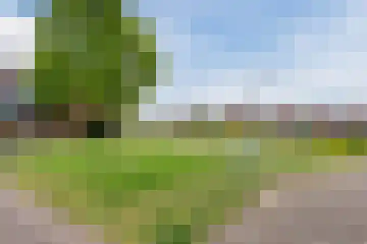 Dolomieten 24 Assendelft thumbnail 50