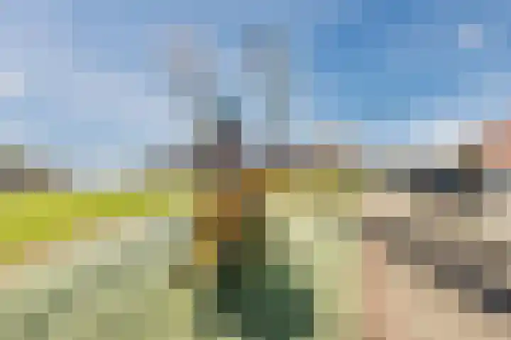 Dolomieten 24 Assendelft thumbnail 51