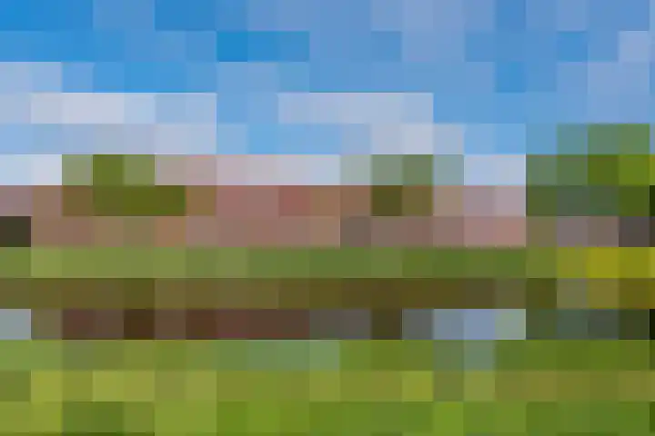 Dolomieten 24 Assendelft thumbnail 54