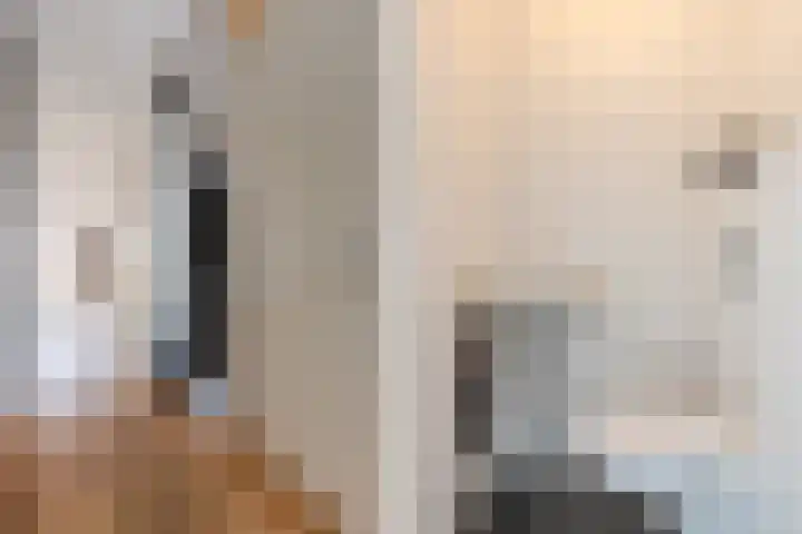 Dolomieten 24 Assendelft thumbnail 8