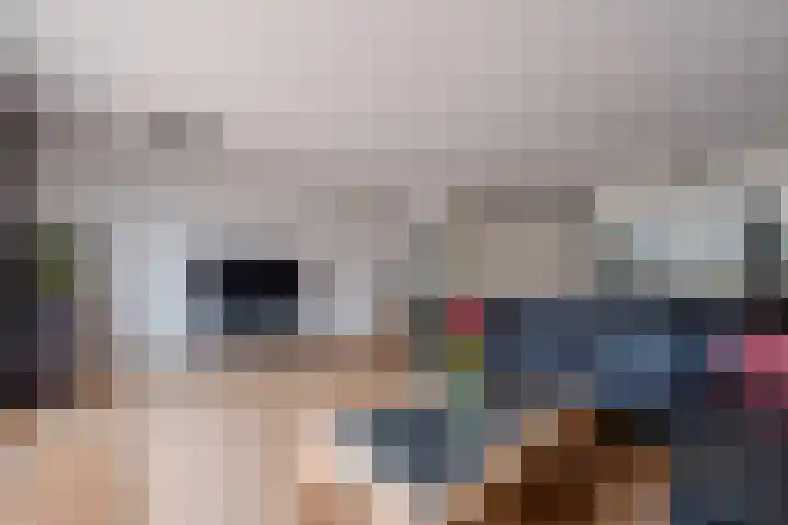 Dolomieten 24 Assendelft thumbnail 9