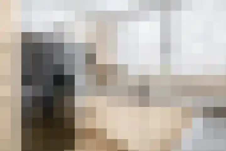 Dolomieten 3 Assendelft thumbnail 13