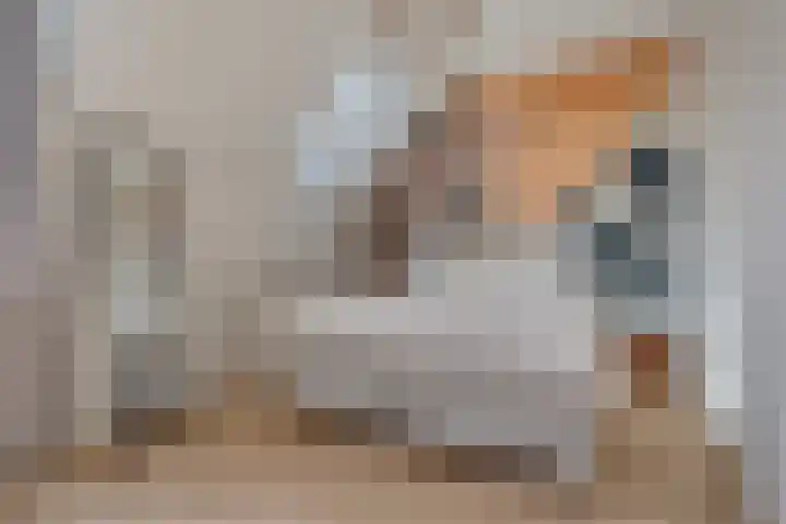 Dolomieten 3 Assendelft thumbnail 20