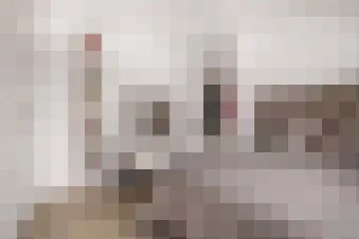 Dolomieten 3 Assendelft thumbnail 27