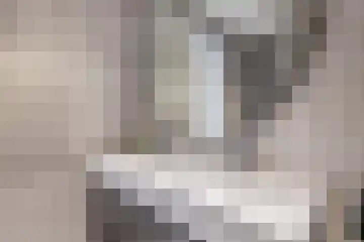 Dolomieten 3 Assendelft thumbnail 29