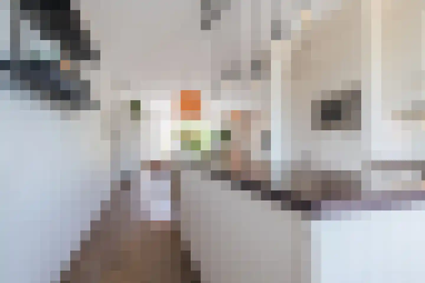 Dolomieten 30 Assendelft thumbnail 11
