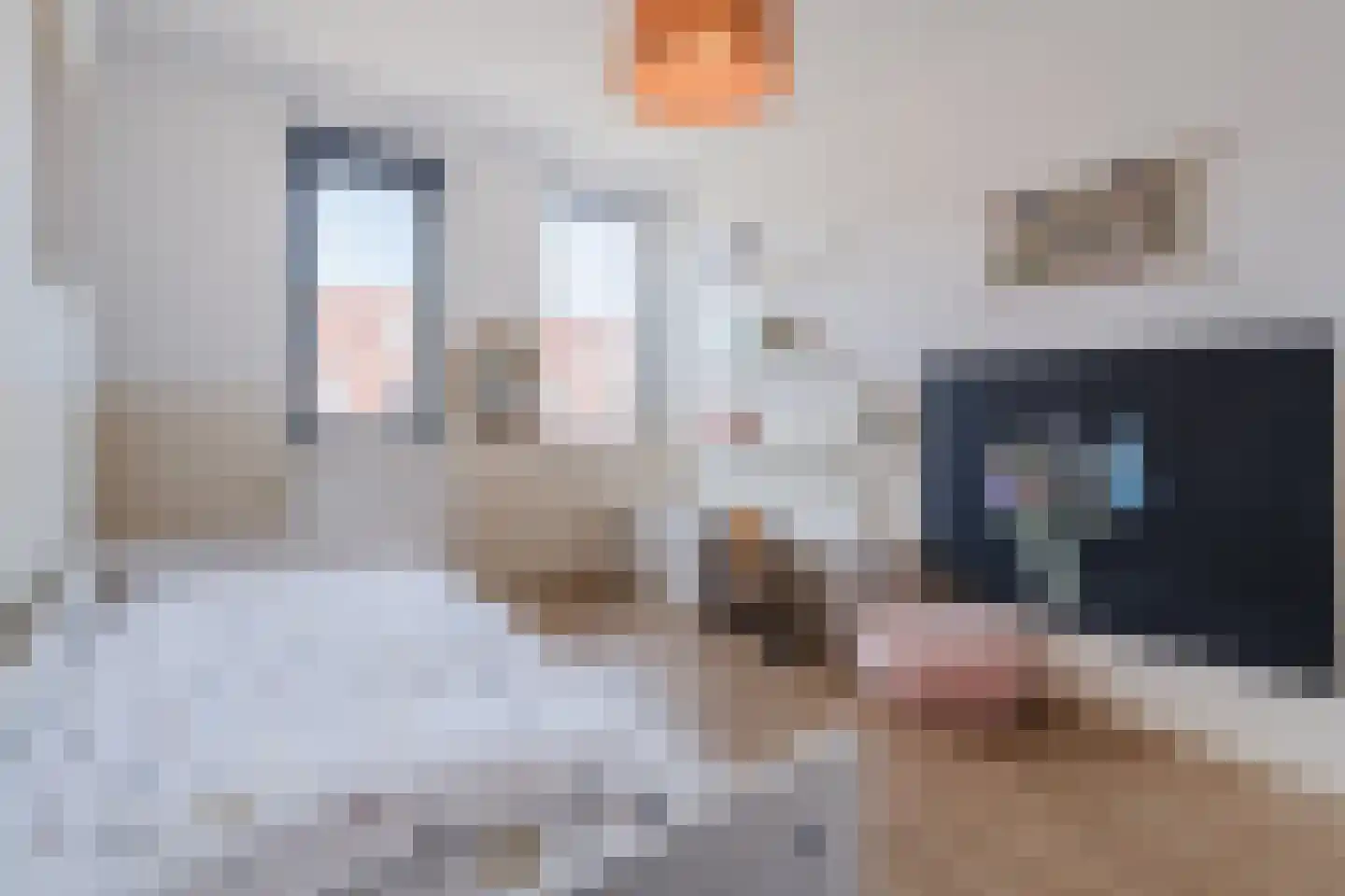 Dolomieten 30 Assendelft thumbnail 23