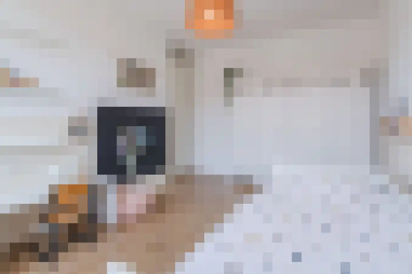 Dolomieten 30 Assendelft thumbnail 24