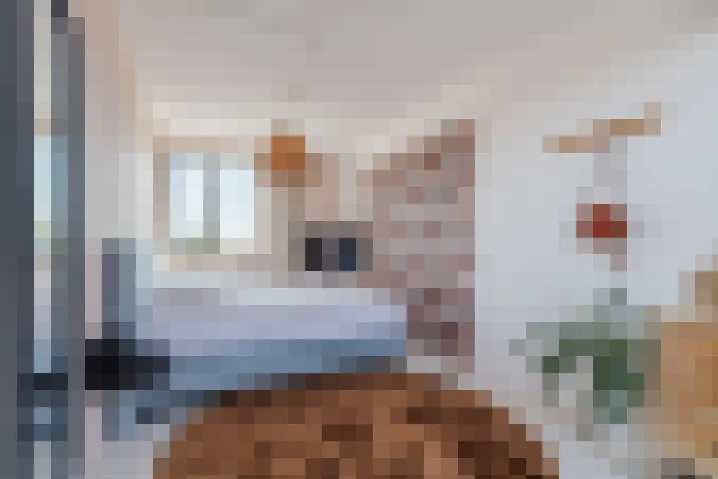 Dolomieten 30 Assendelft thumbnail 31