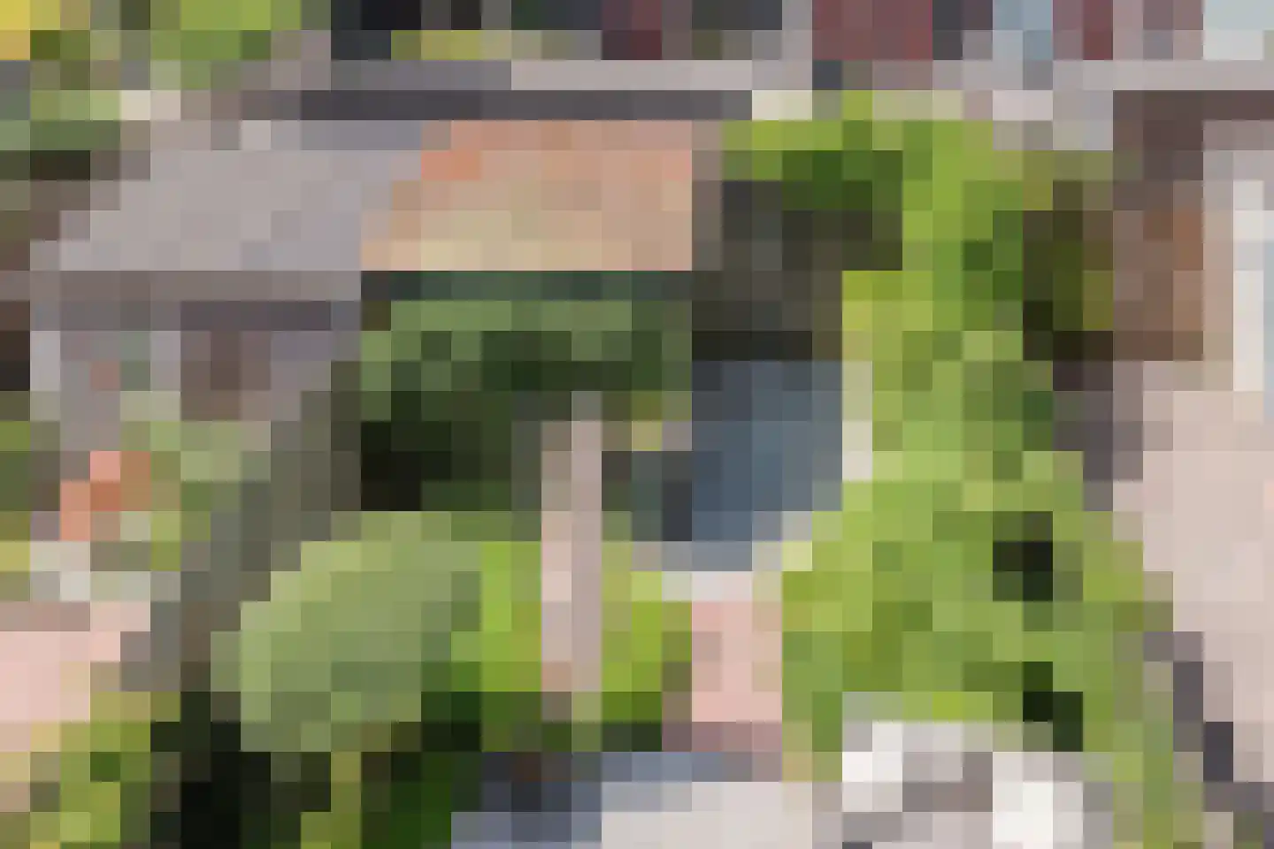 Dolomieten 30 Assendelft thumbnail 39