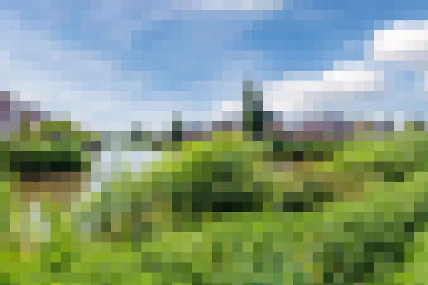 Dolomieten 30 Assendelft thumbnail 43