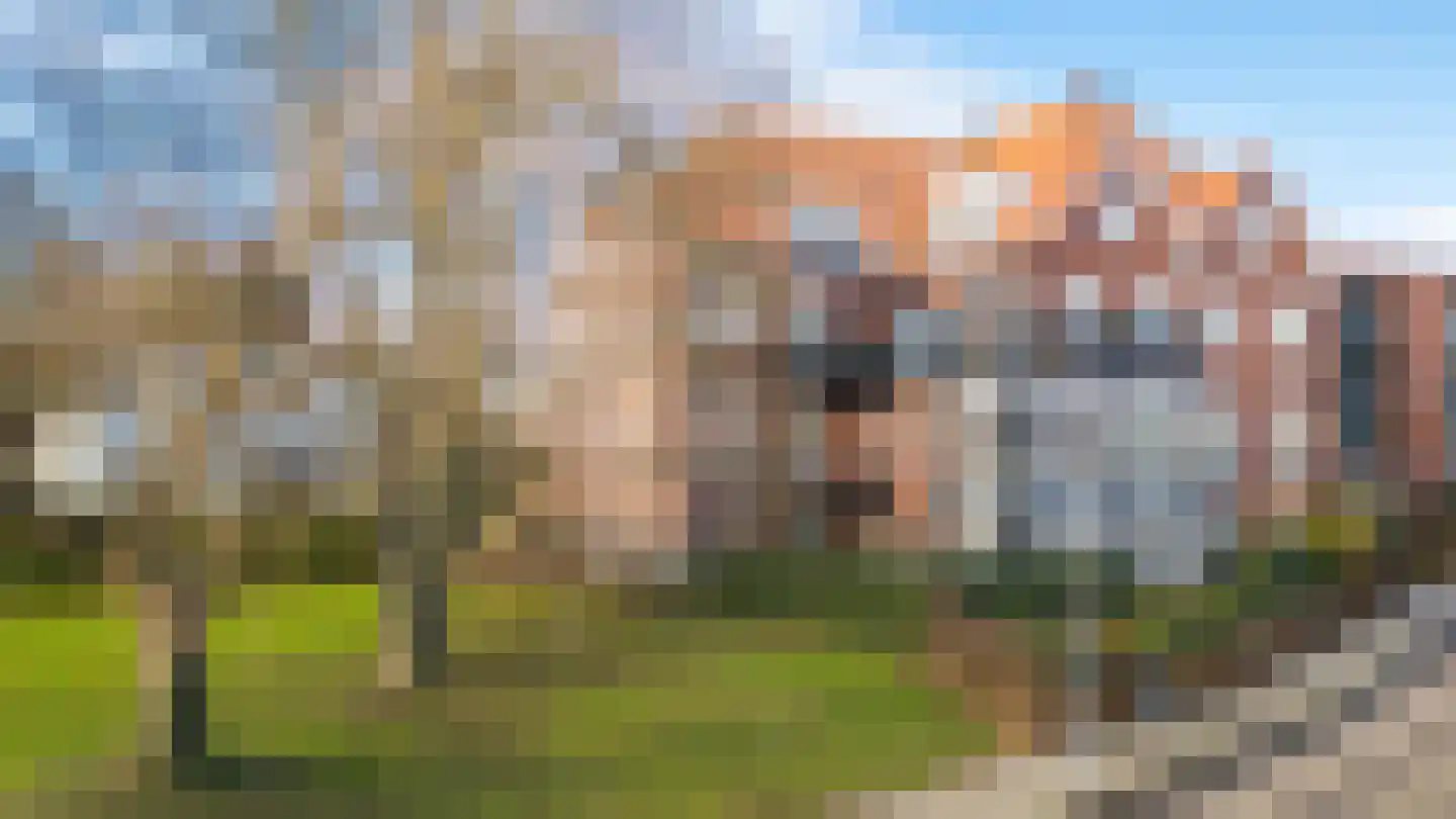 Dolomieten 5 IJsselstein thumbnail 27