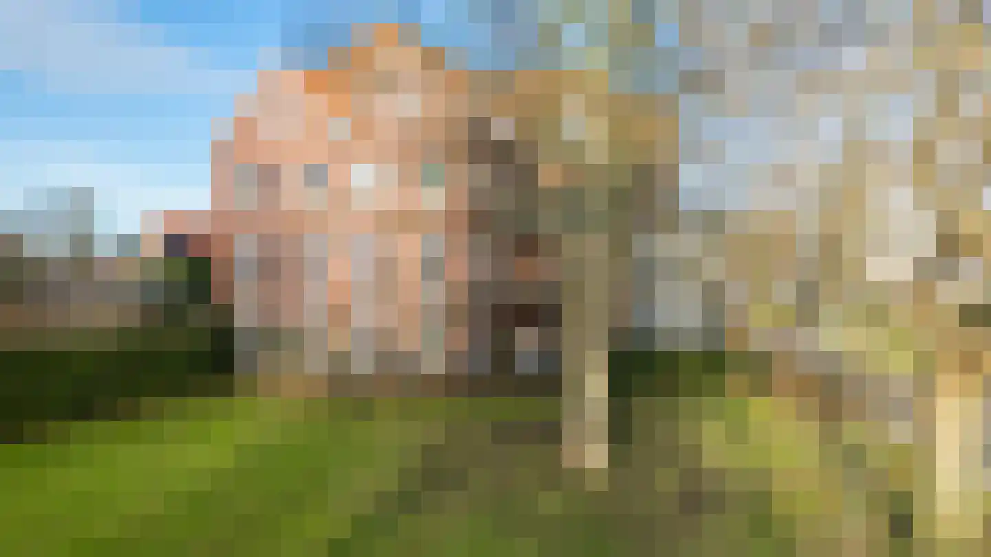 Dolomieten 5 IJsselstein thumbnail 28