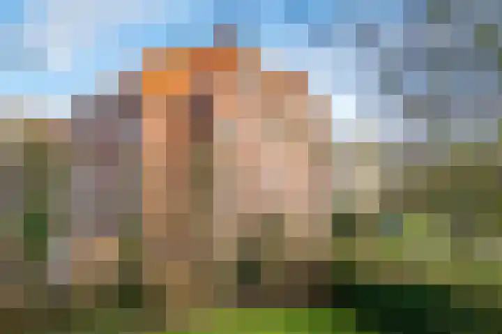 Dolomieten 5 IJsselstein thumbnail 29