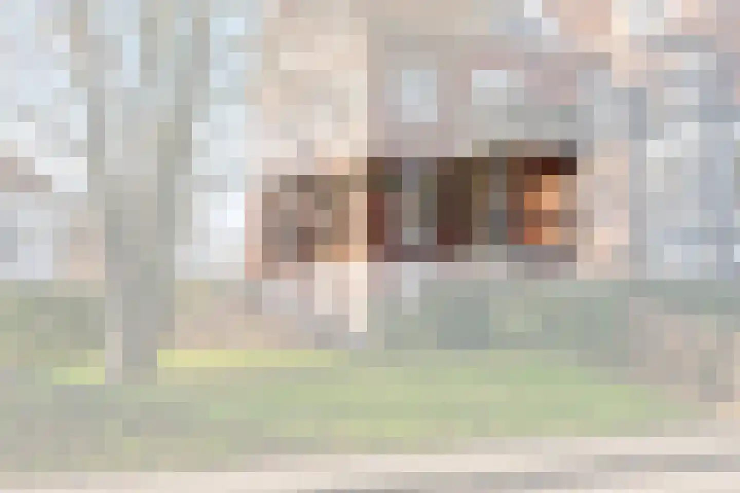 Dolomieten 5 IJsselstein thumbnail 4