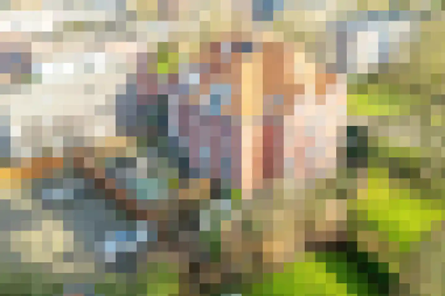 Dolomieten 5 IJsselstein thumbnail 5