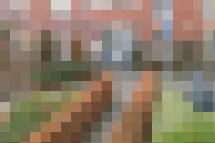 Dolomieten 5 IJsselstein thumbnail 6