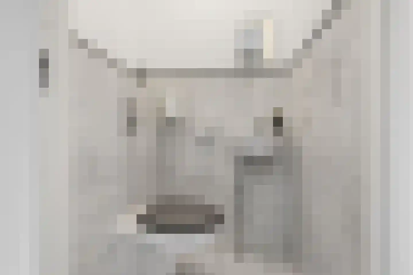 Dolomieten 6 Assendelft thumbnail 11