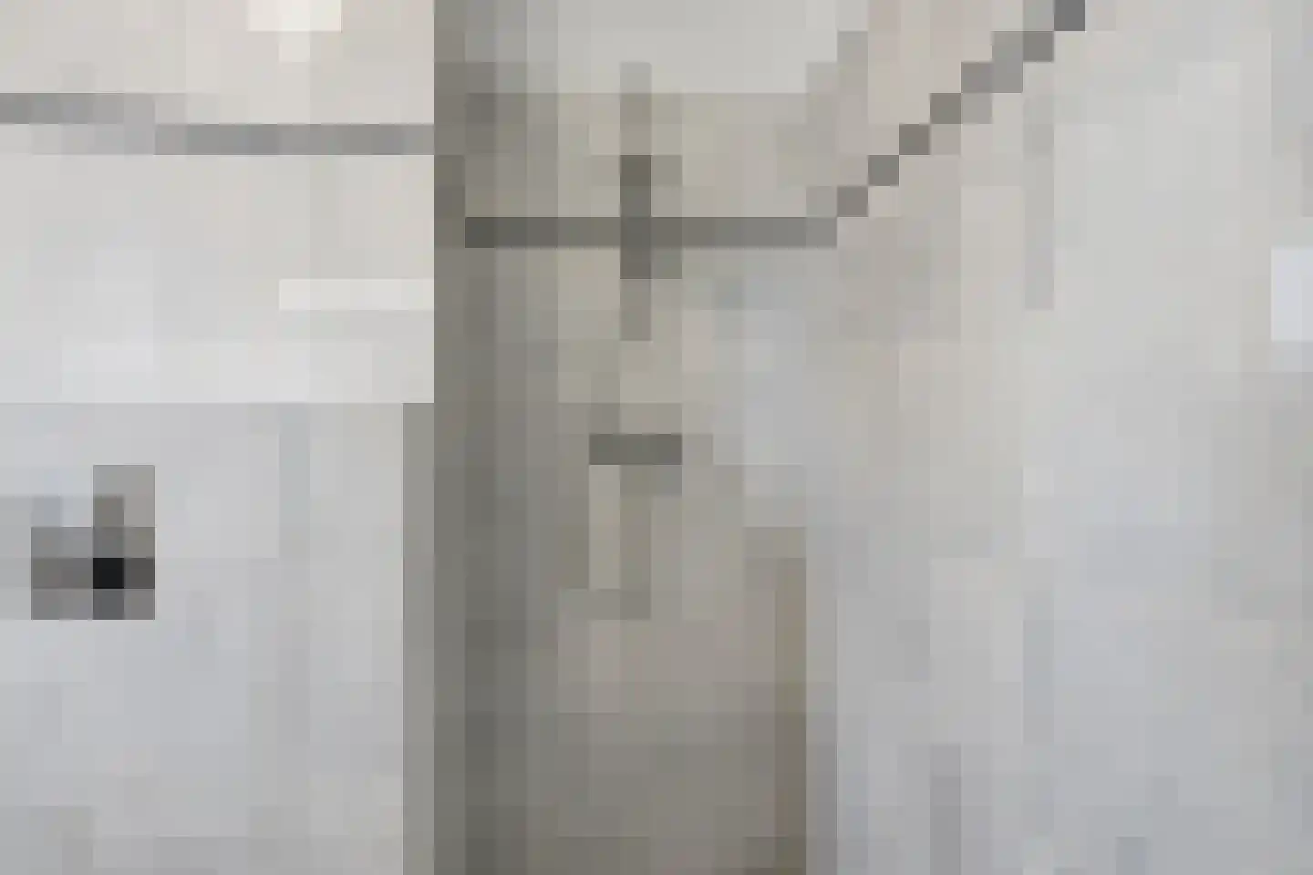 Dolomieten 6 Assendelft thumbnail 25