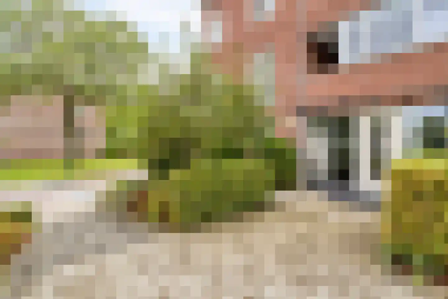 Dolomieten 9 IJsselstein thumbnail 7
