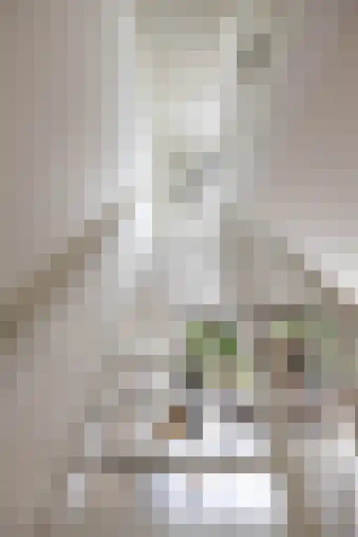 Dolomietstraat 52 Groningen thumbnail 27