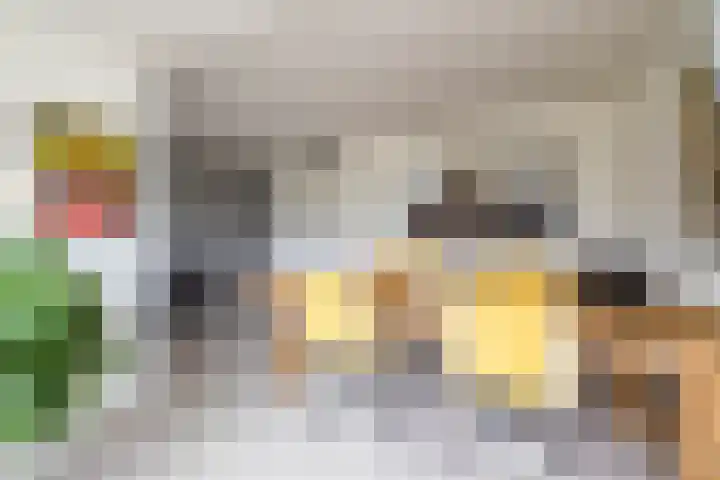 Dolomietstraat 52 Groningen thumbnail 36