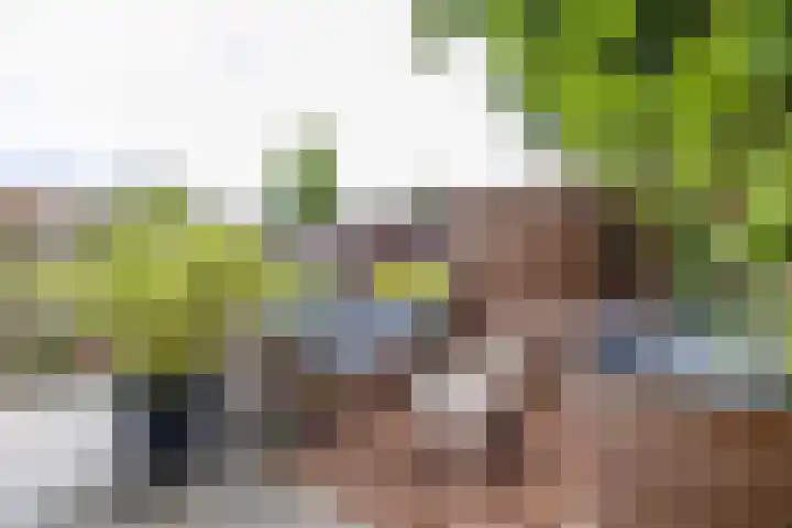 Dolomietstraat 52 Groningen thumbnail 50