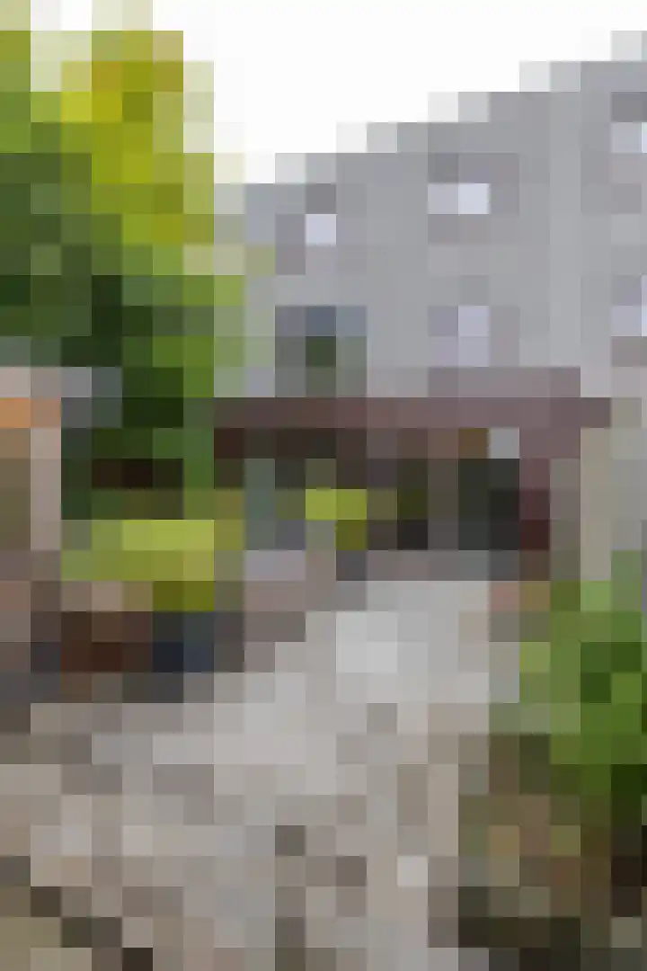 Dolomietstraat 52 Groningen thumbnail 52