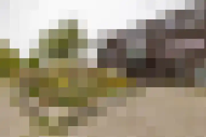 Dolomietstraat 52 Groningen thumbnail 6