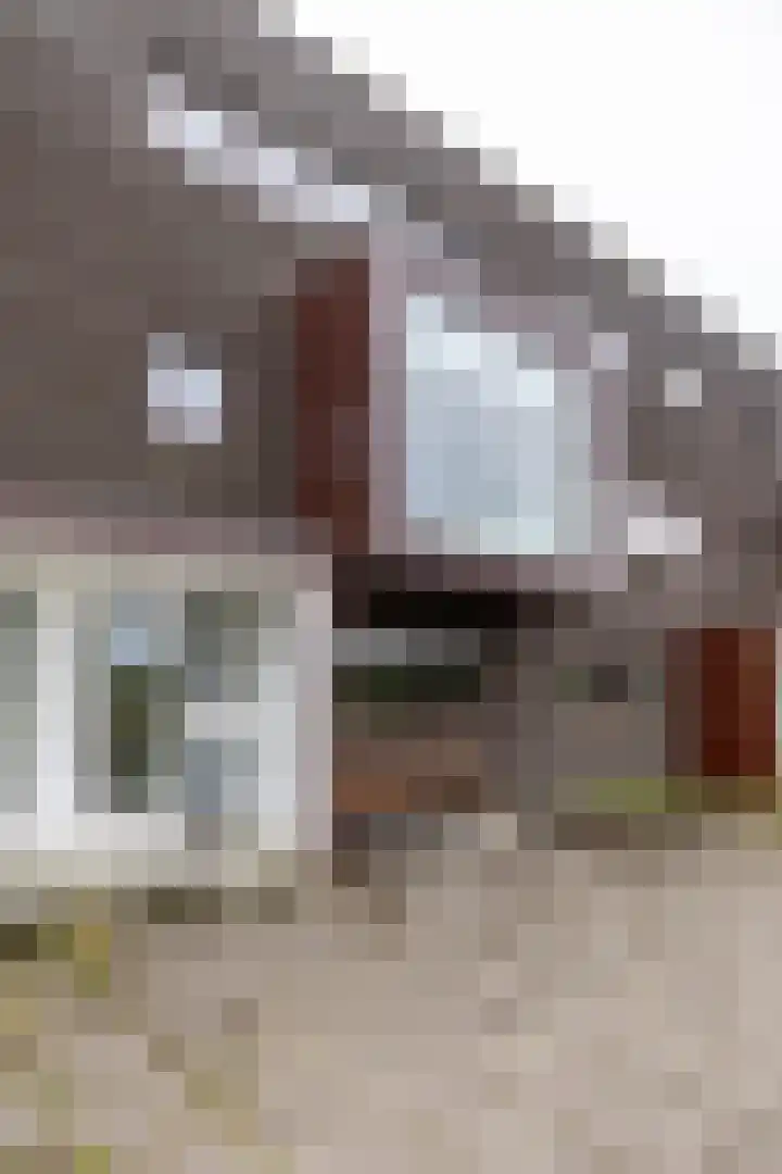 Dolomietstraat 52 Groningen thumbnail 8