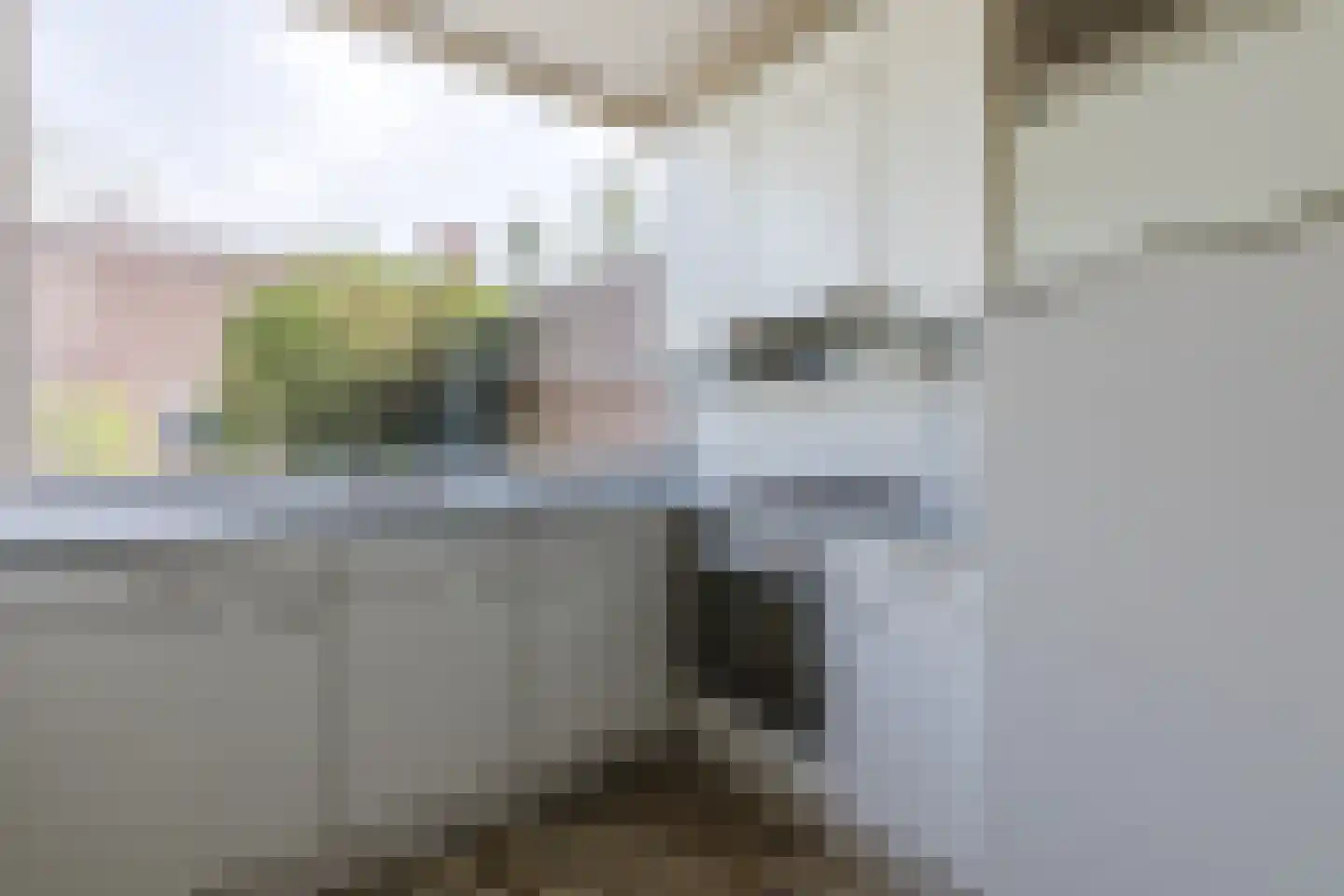 Dolonstraat 4 Eindhoven thumbnail 11