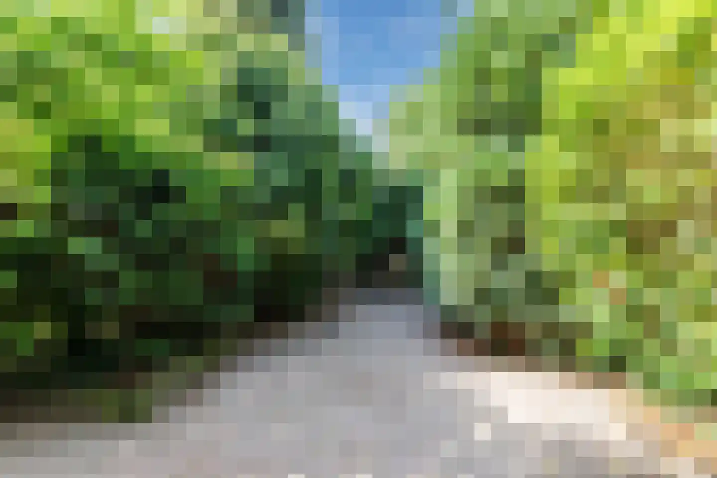 Dolonstraat 4 Eindhoven thumbnail 19