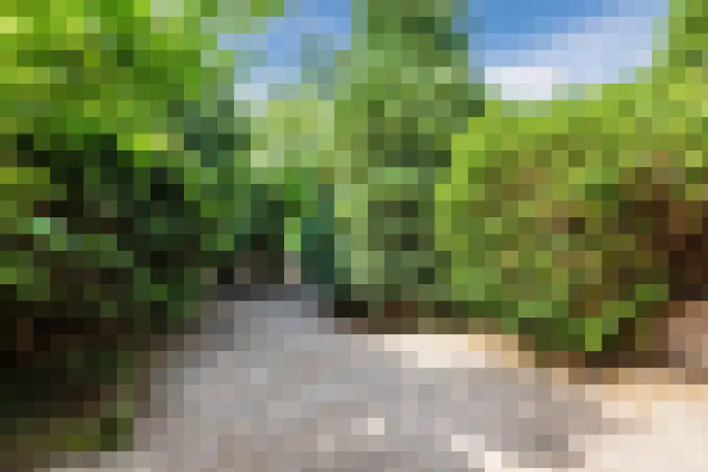 Dolonstraat 4 Eindhoven thumbnail 20