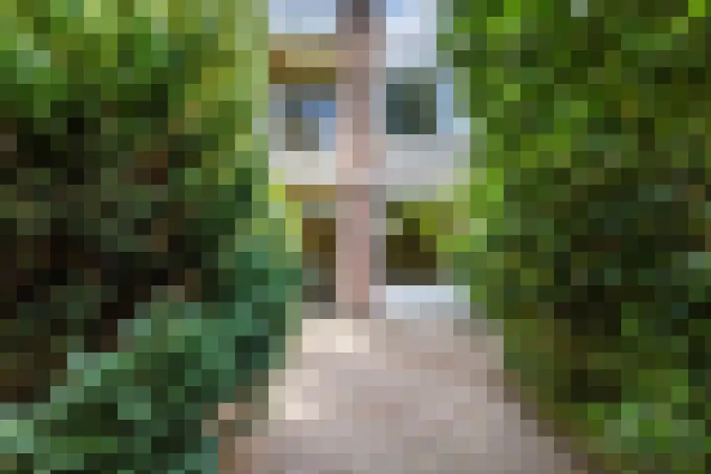 Dolonstraat 4 Eindhoven thumbnail 21