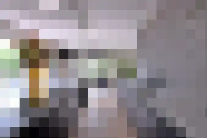 Dolskamp 2 Wijhe thumbnail 10