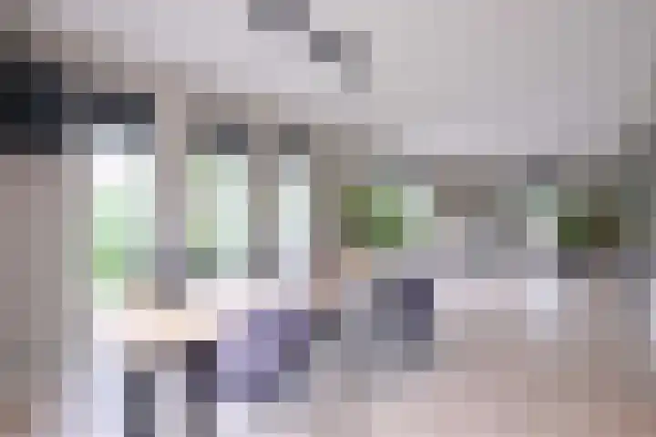 Dolskamp 2 Wijhe thumbnail 11